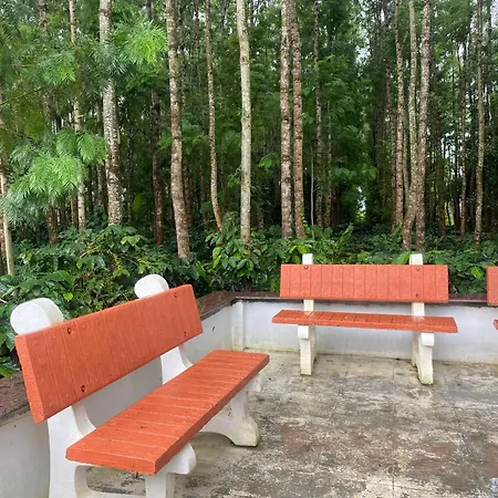 Bougain Villa Chikmagalur Exterior photo