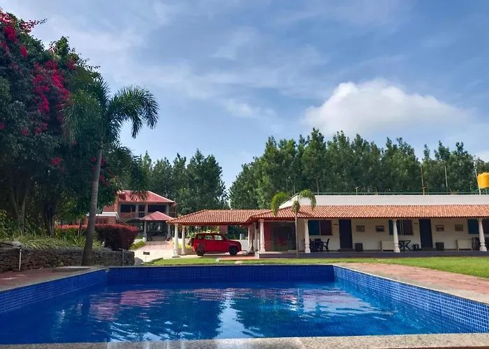 Bougain Villa
