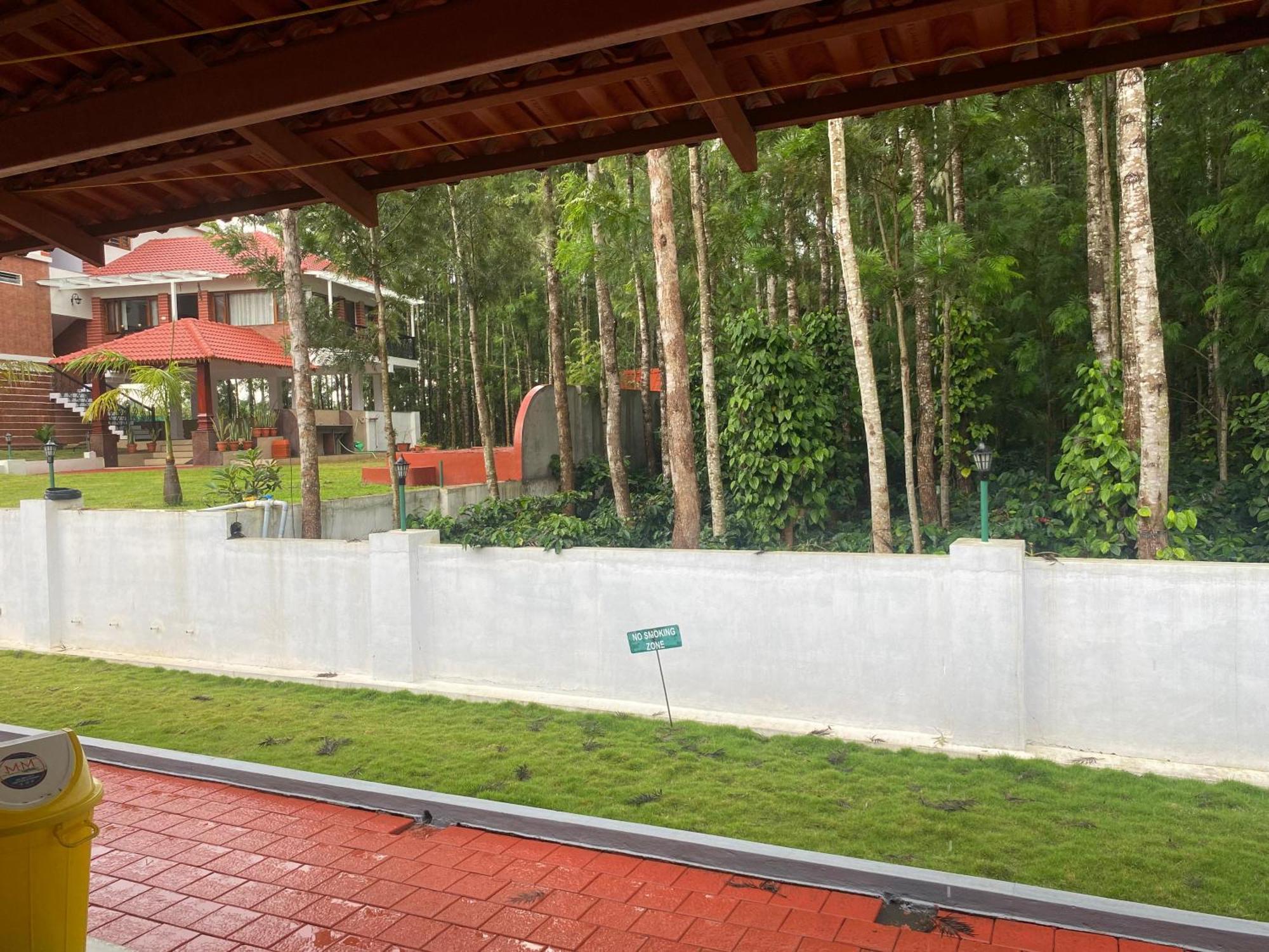 Bougain * Chikmagalur